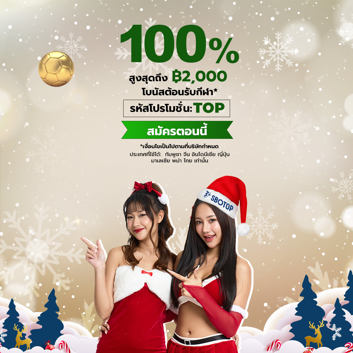 Slider 3 – Dec Xmas TH