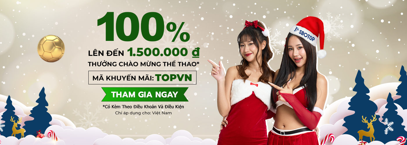 Promotion Xmas Dec 2025 – VN
